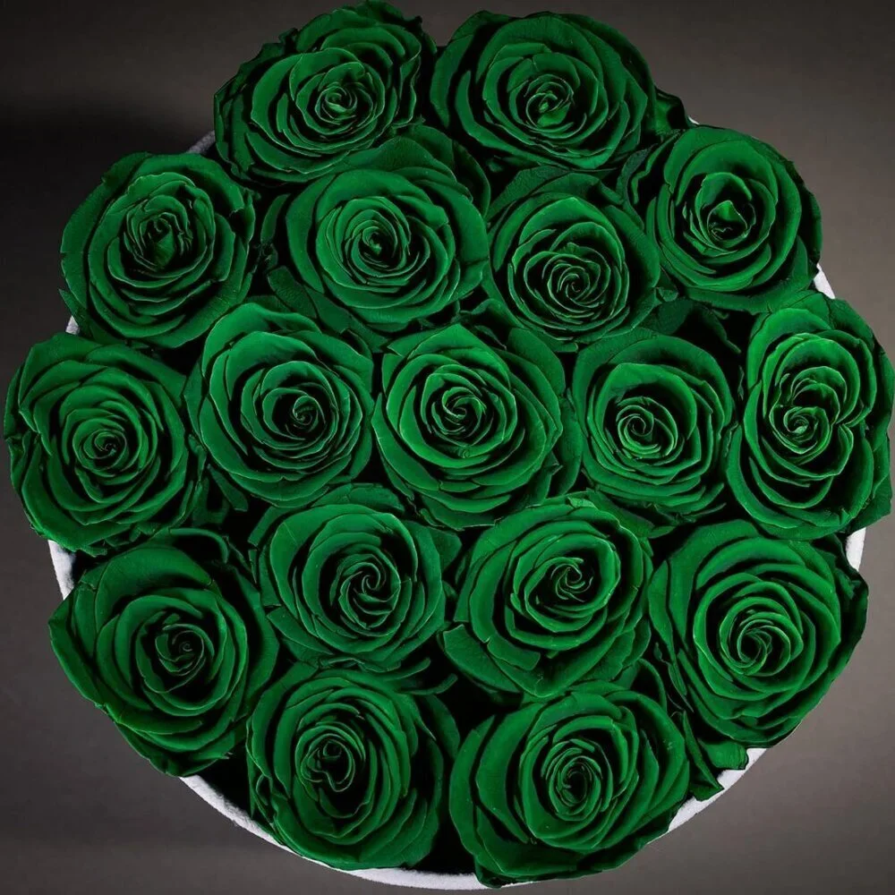 17 Flowers in a Luxury Suede Box Birthday Gifts Preserved Flowers Dark Green
